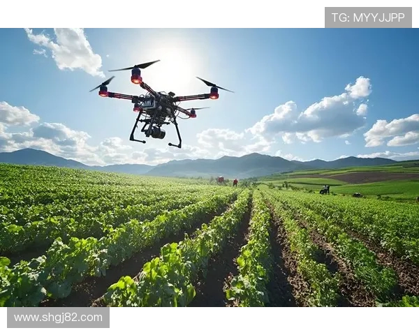 无人机在精细化农业中的估产技术