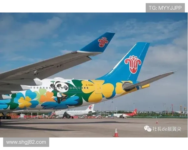 民用飞机飞行计划的规划