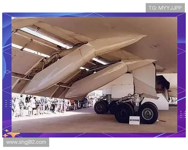 飞机机翼尖端小翼的优化造型设计