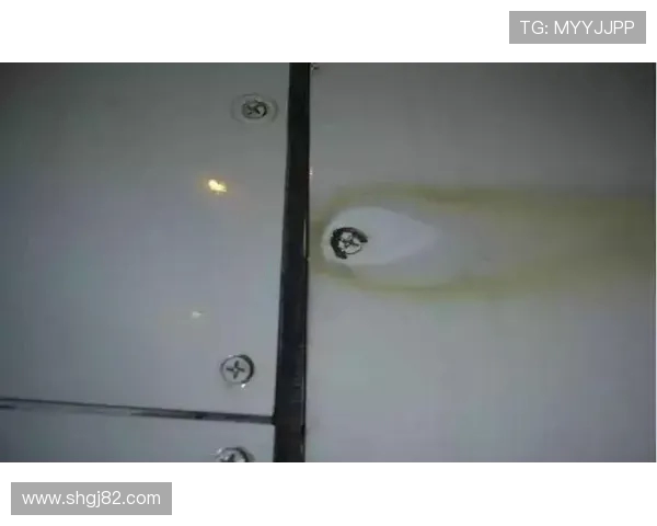 飞机机身结构的抗雷击损伤